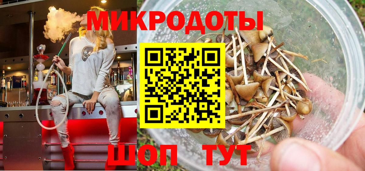 Дзержинский  Галлюциногенные грибы мухоморы  Вход с VPN 