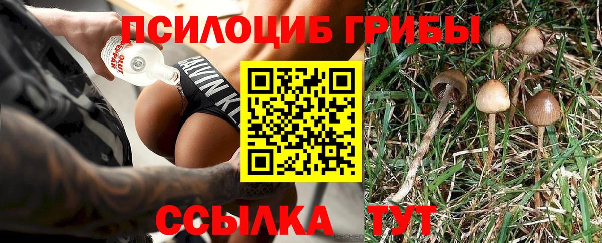 Галлюциногенные грибы Psilocybine cubensis Дзержинский